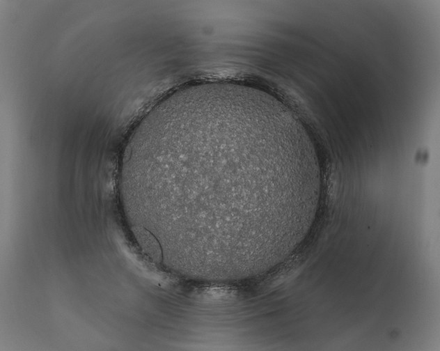 X0000112430546200908281905