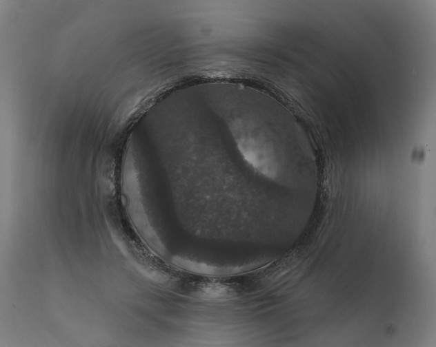 X0000112430547200908281905