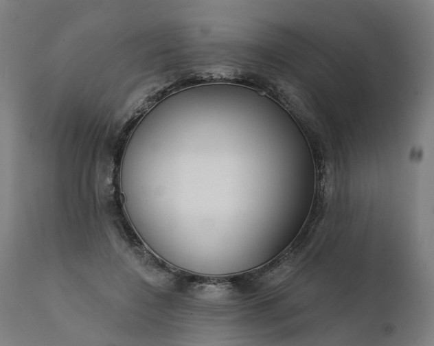 X0000112430548200908281905