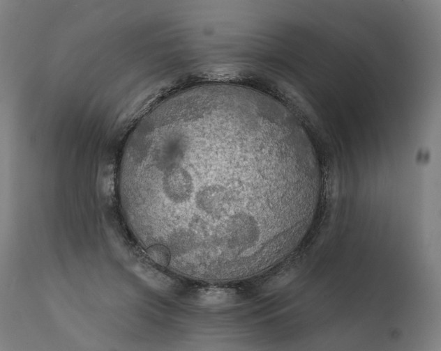 X0000112430549200908281905