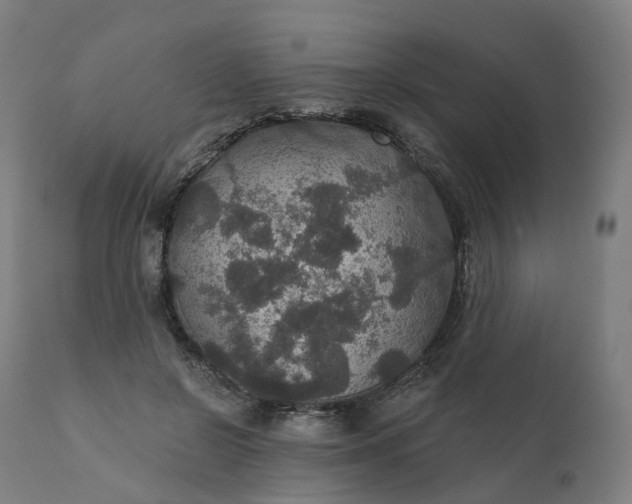 X0000112430550200908281905