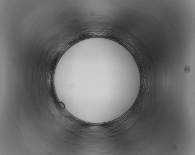 X0000112430551200908281905