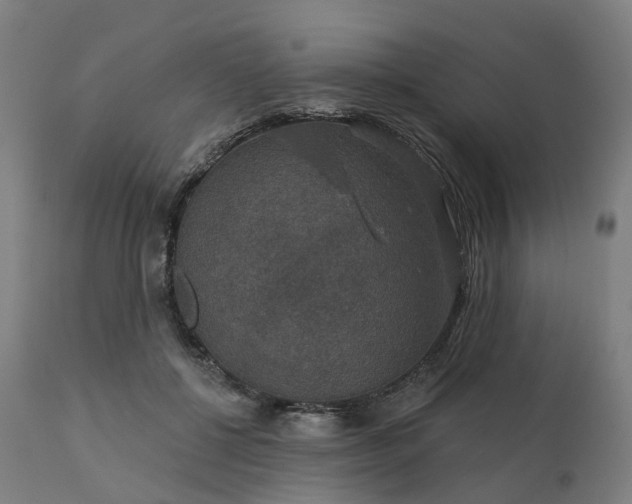 X0000112430552200908281905