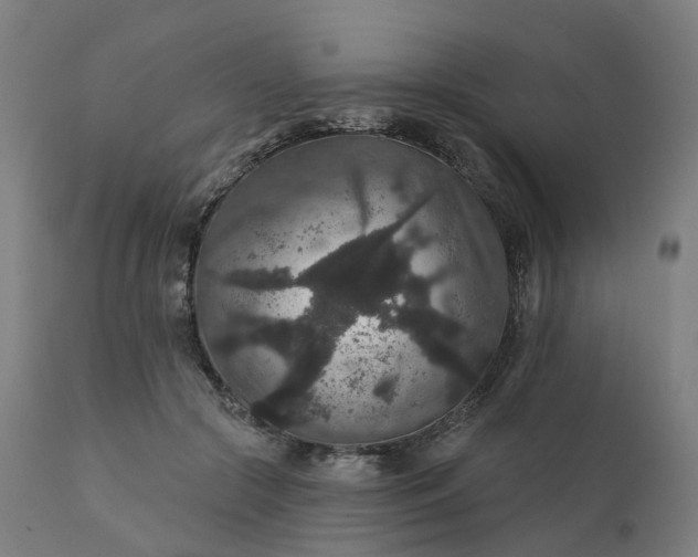 X0000112430553200908281905