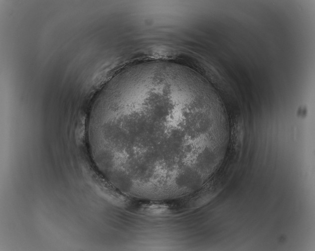 X0000112430554200908281905