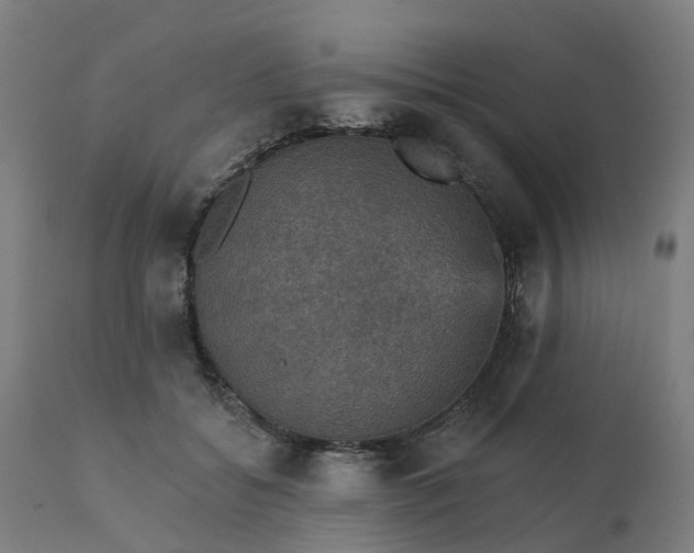 X0000112430556200908281905