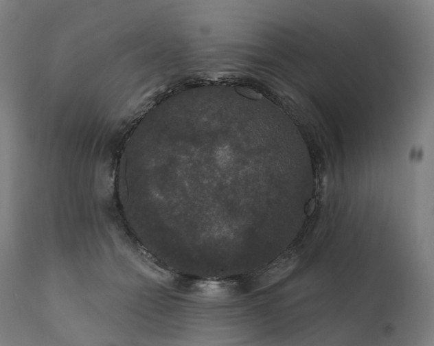 X0000112430558200908281905