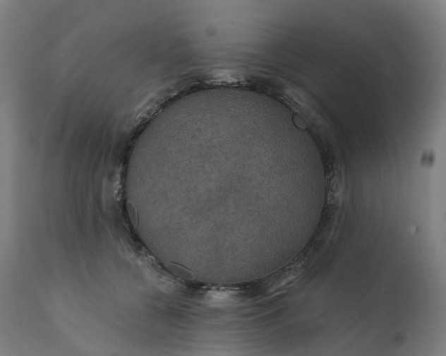 X0000112430560200908281905