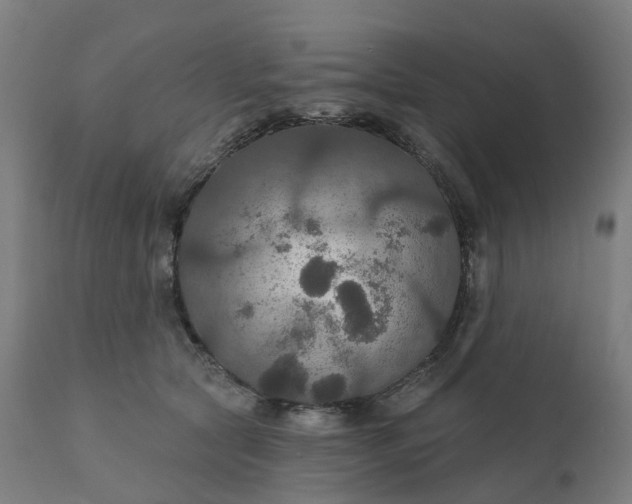 X0000112430561200908281905