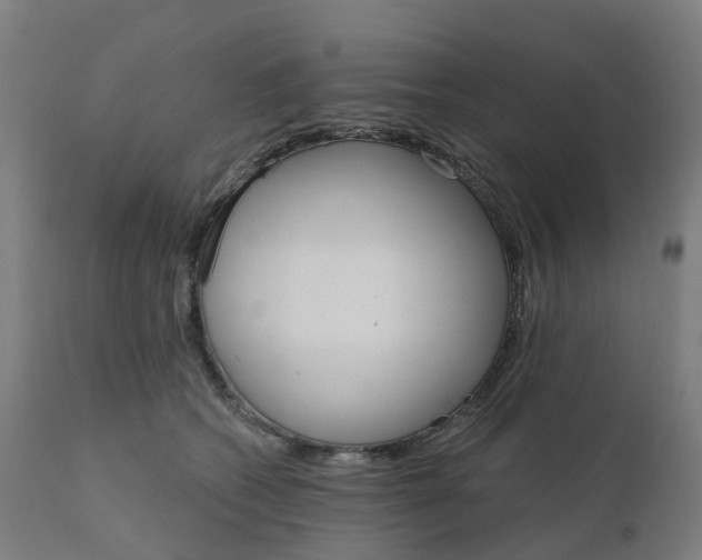 X0000112430562200908281905