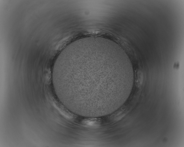 X0000112430563200908281905