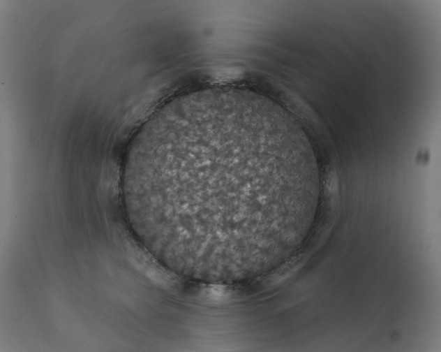 X0000112430565200908281905