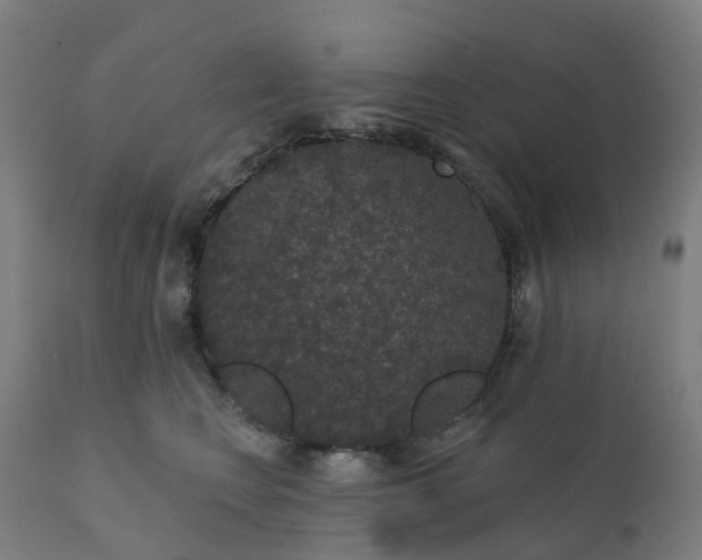 X0000112430566200908281905