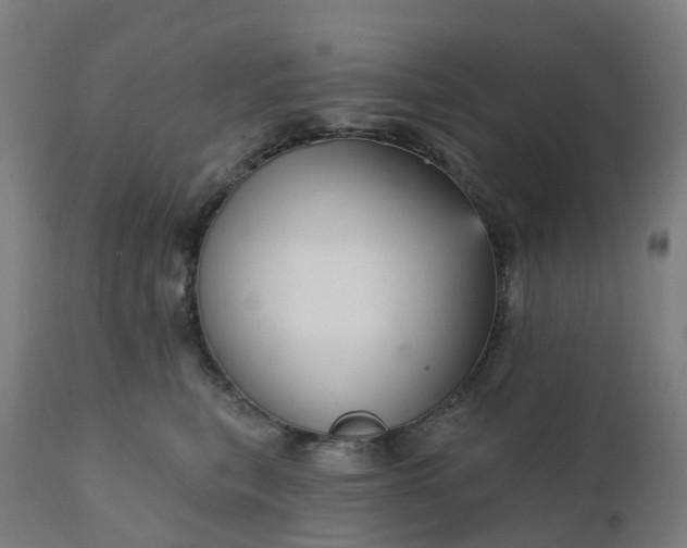 X0000112430567200908281905