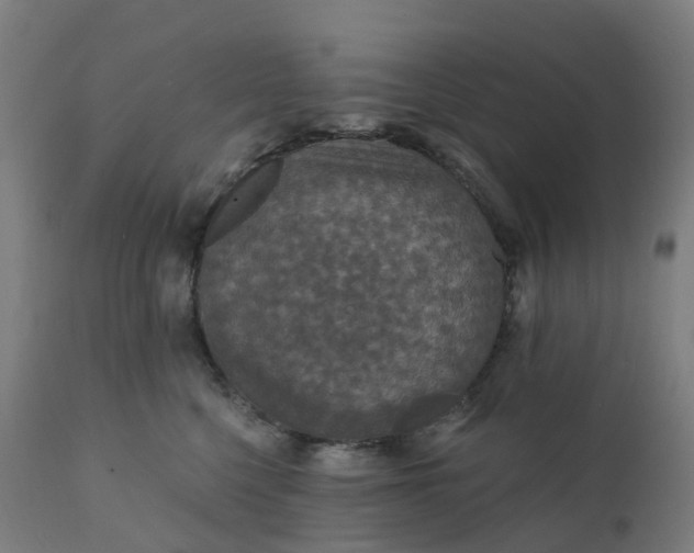 X0000112430568200908281905