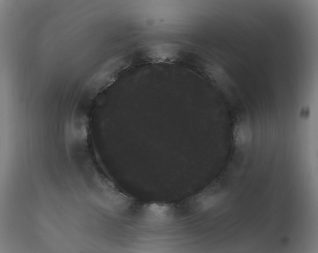 X0000112430570200908281905