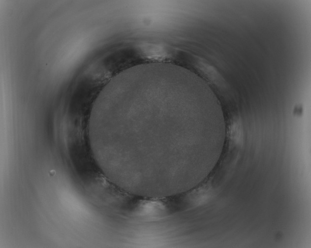 X0000112430572200908281905