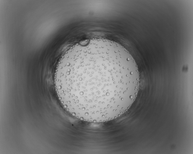 X0000112430573200908281905