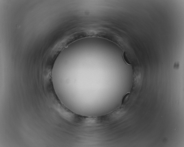 X0000112430574200908281905