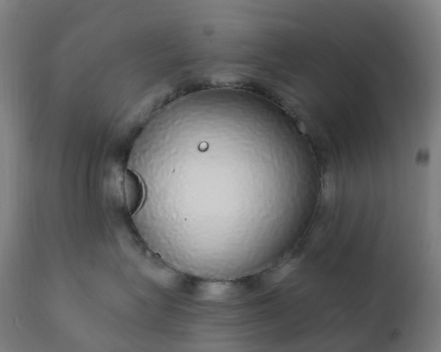 X0000112430575200908281905