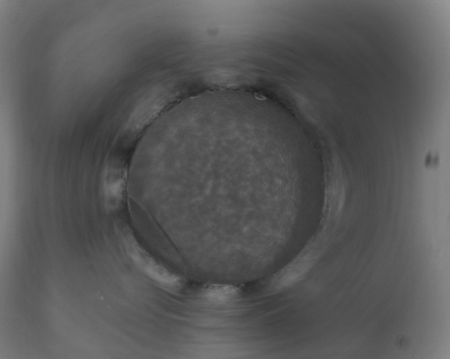 X0000112430576200908281905