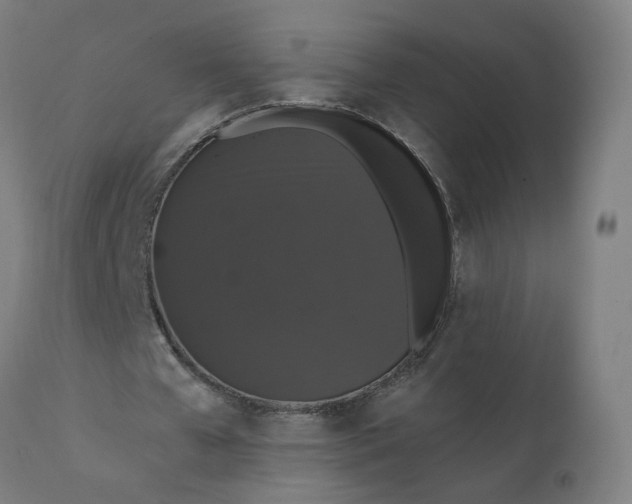 X0000112430577200908281904