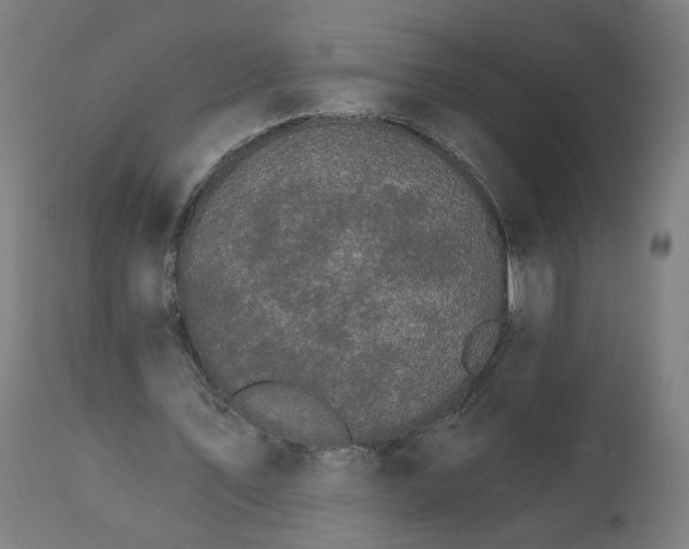 X0000112430579200908281904