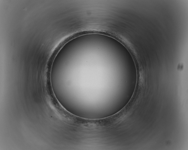 X0000112430580200908281904