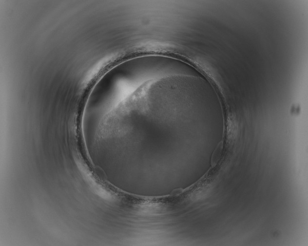 X0000112430581200908281904