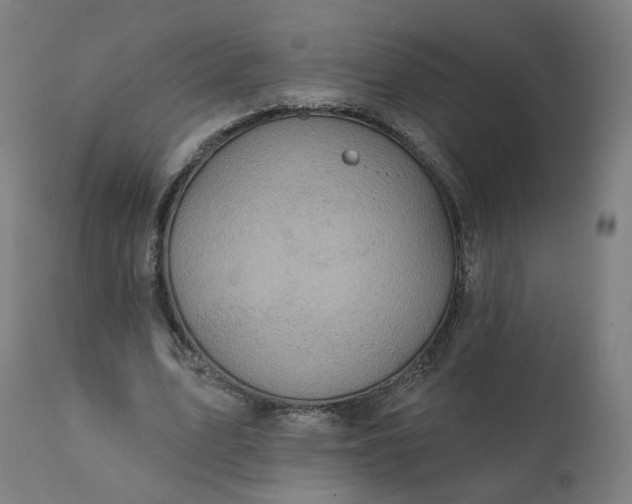 X0000112430583200908281904