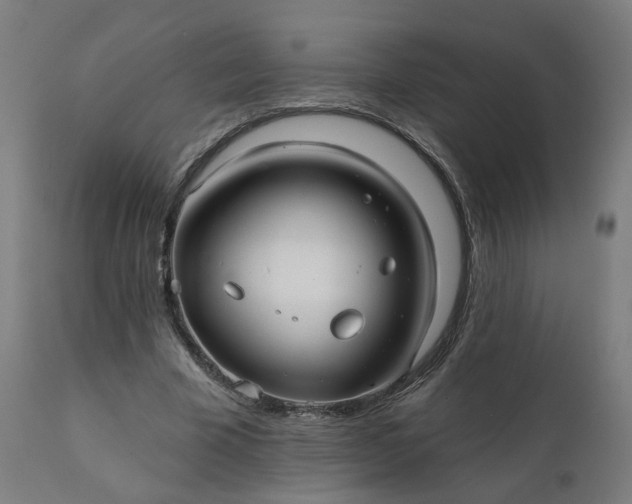 X0000112430585200908281904