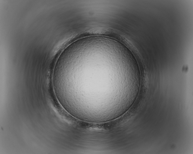 X0000112430586200908281904