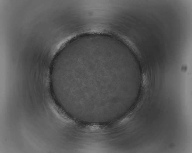 X0000112430588200908281904