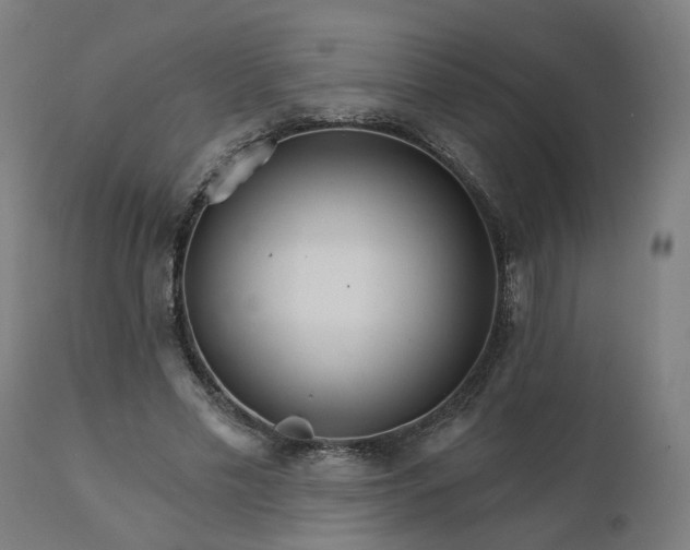 X0000112430589200908281904