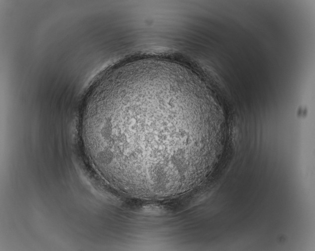 X0000112430591200908281904