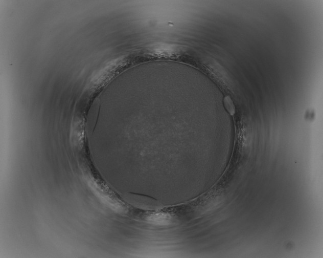 X0000112430593200908281904