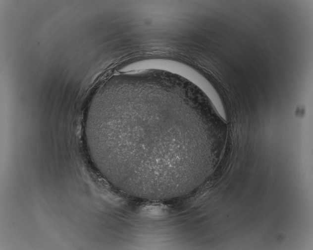 X0000112430595200908281904