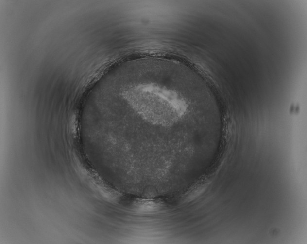 X0000112430597200908281904