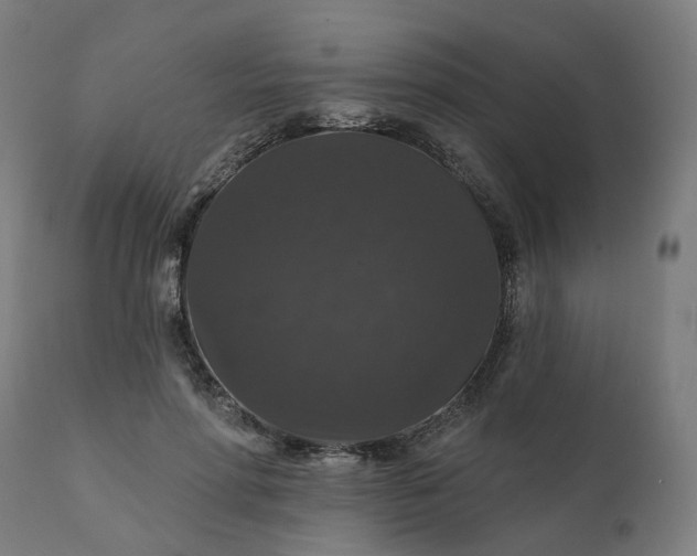 X0000112430598200908281904