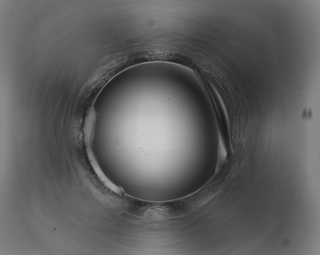 X0000112430599200908281904