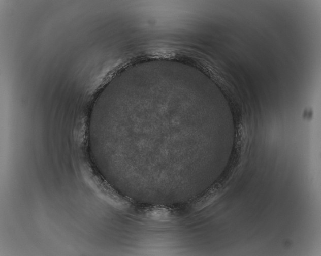 X0000112430600200908281904