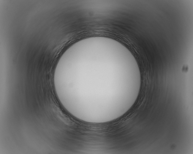 X0000112430601200908281904