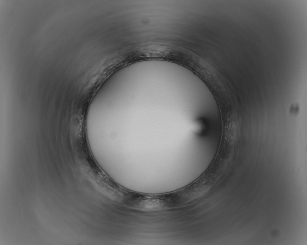 X0000112430604200908281904