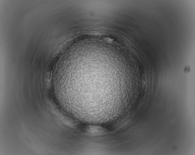 X0000112430605200908281904