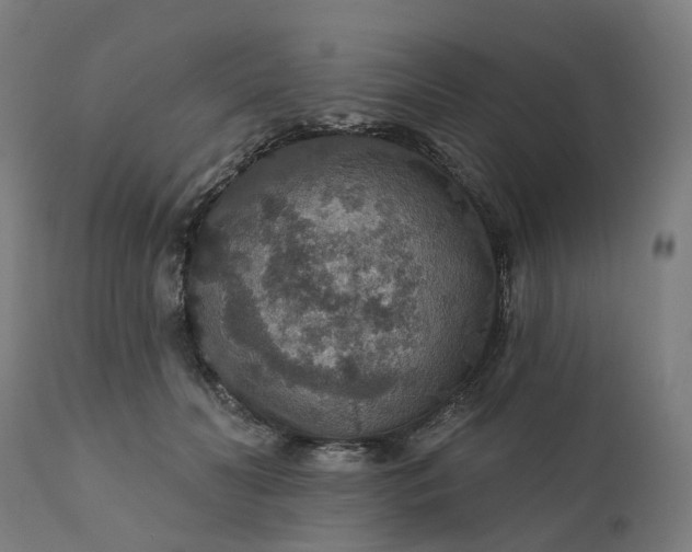 X0000112430606200908281904