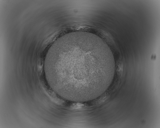 X0000112430607200908281904