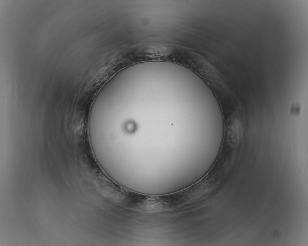 X0000112430608200908281904