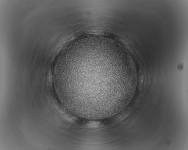 X0000112430609200908281904