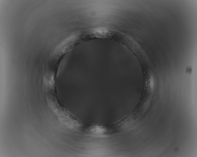 X0000112430610200908281904