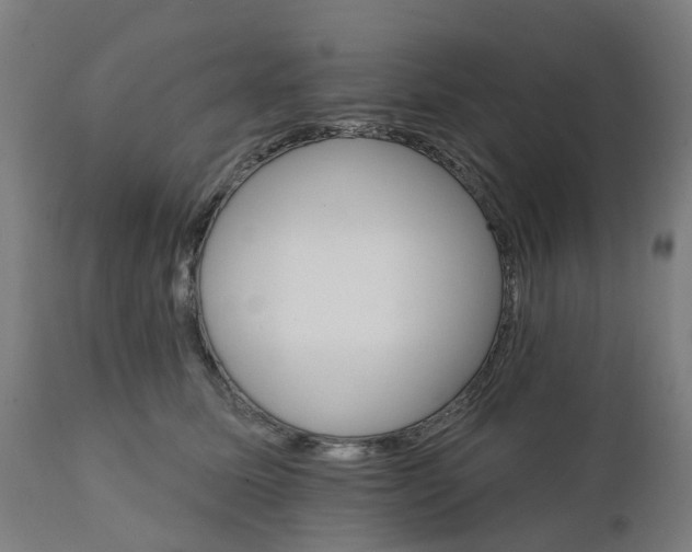 X0000112430611200908281904